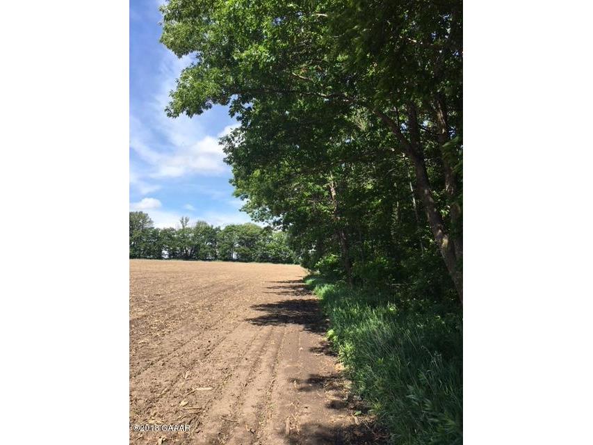 414th Street, Bertha, MN 56437 MLS 1025132 Edina Realty