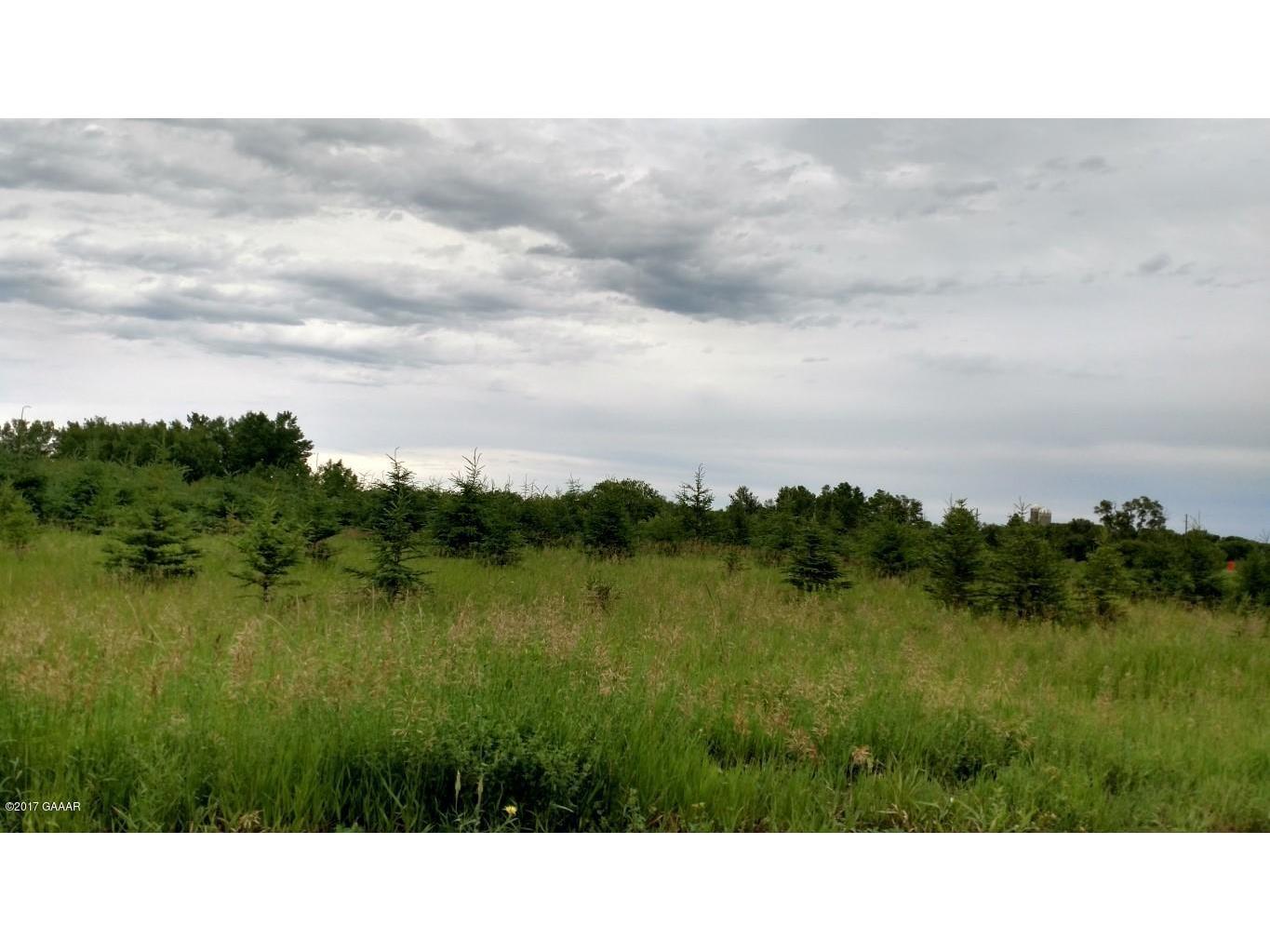 County Rd 38, Vining, MN 56588 MLS 1022817 Edina Realty