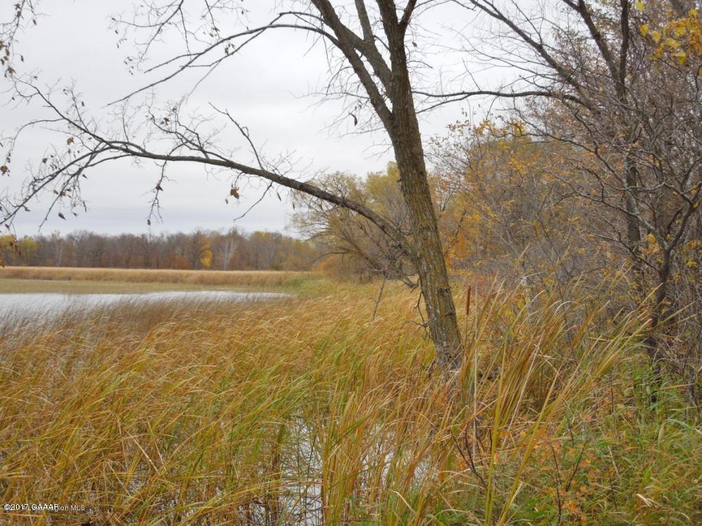 Murray Road, Richville, MN, 56576 MLS 1023027 Edina Realty