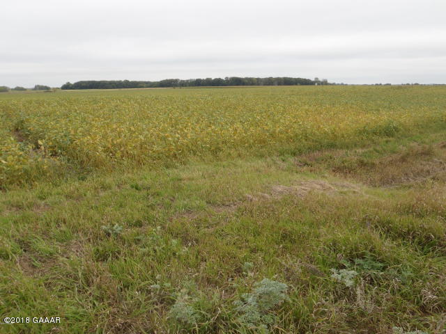 TBD County Road 12 NW Garfield MN 56332 10-25722 image1
