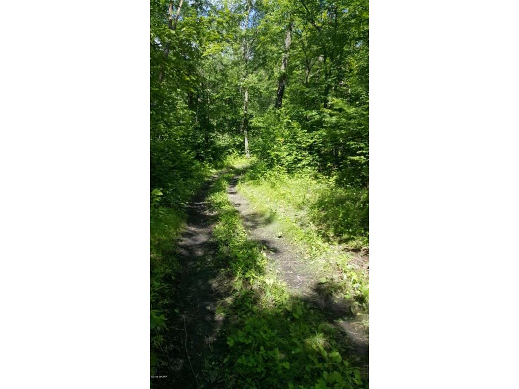 Tall Timber Road SW, Garfield, MN 56332 MLS 1020464 Edina Realty