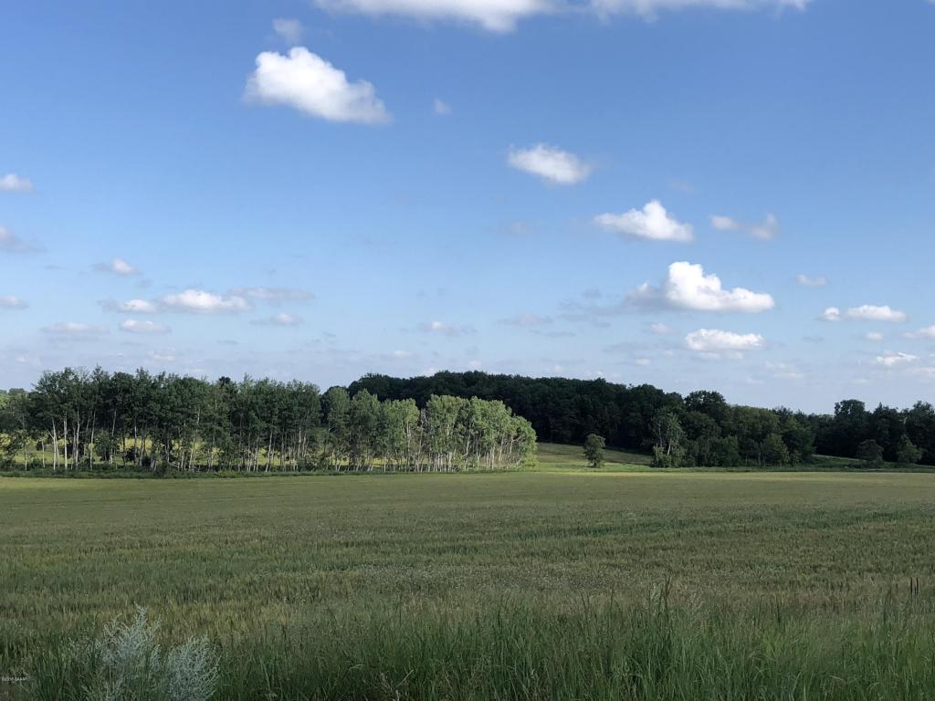 xxx 360th Street, Browerville, MN 56438 MLS 1025623 Edina Realty