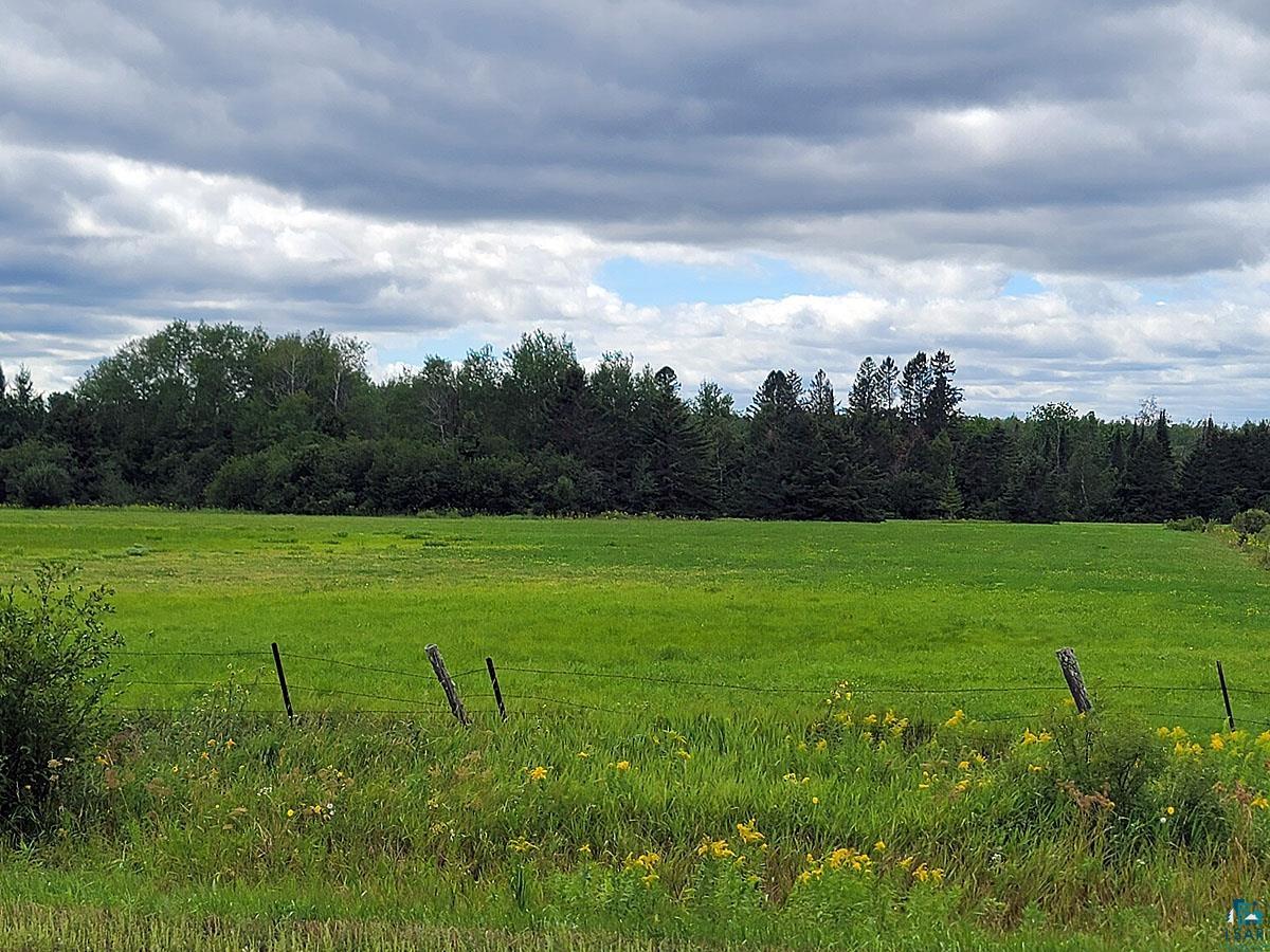 29XX County Rd 1 Wrenshall MN 55797 - Rock 6099202 image1