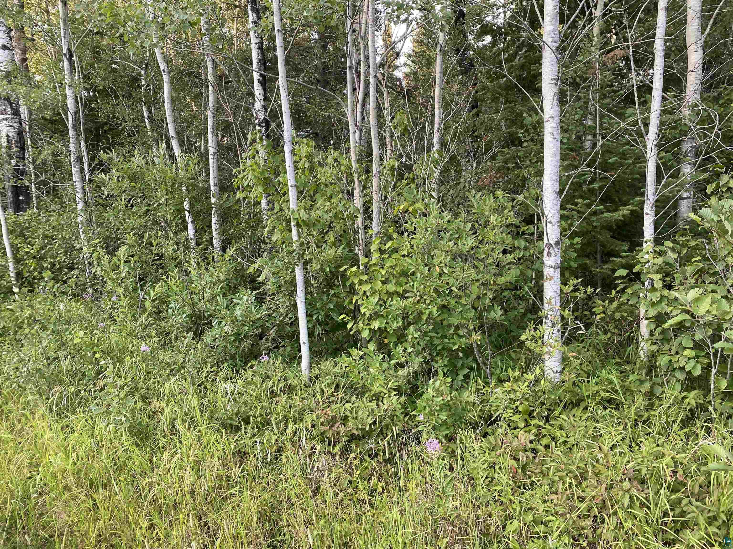 48BB North Rd, Hovland, MN, 55606 MLS 6100474 Edina Realty