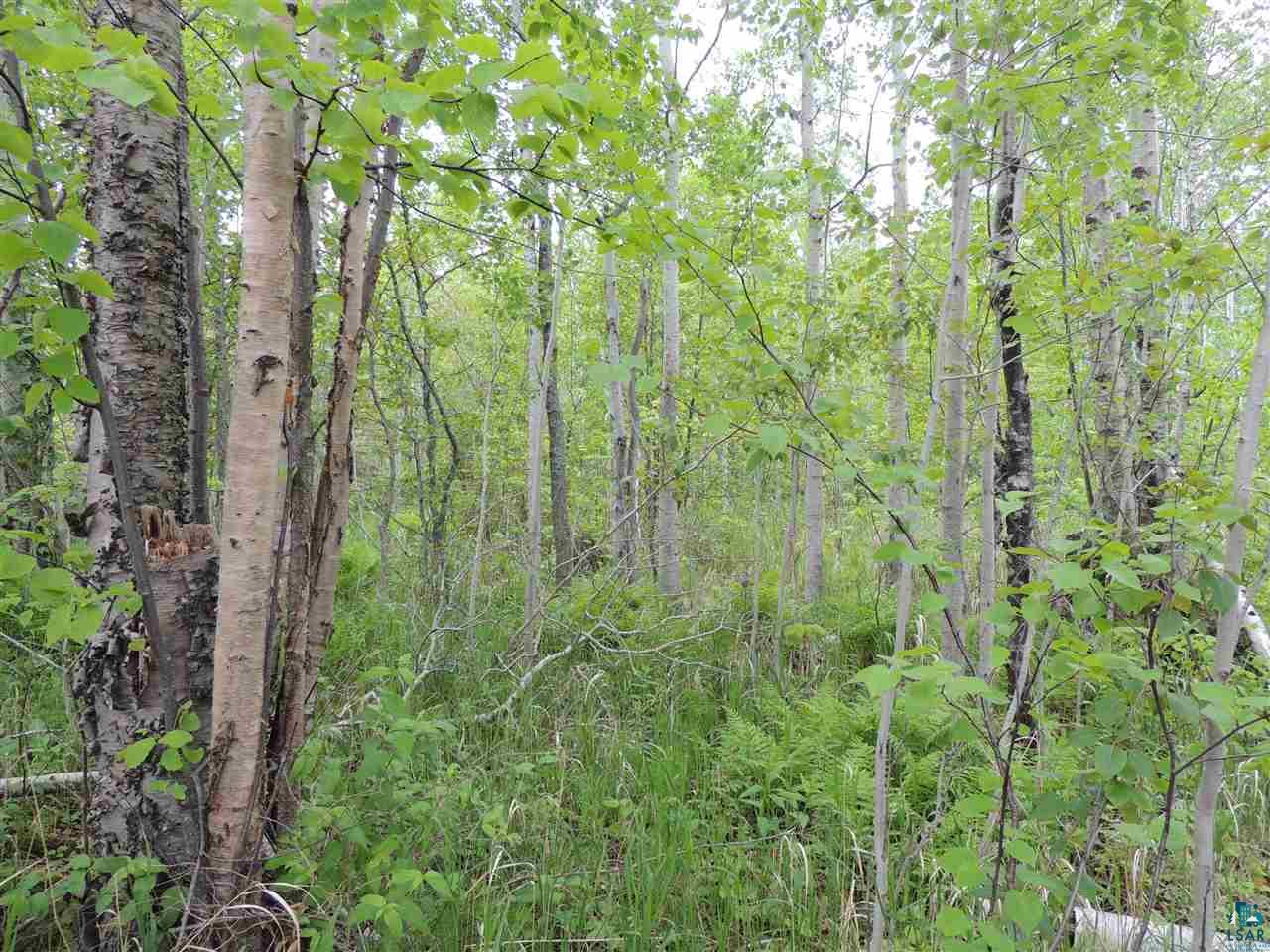 92XX Hwy 61 W, Schroeder, MN, 55613 MLS 6097501 Edina Realty