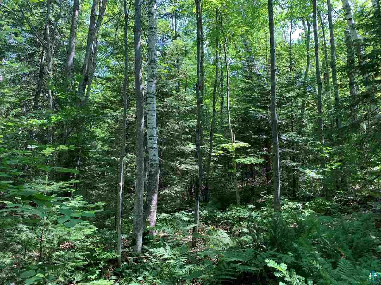 Lot 1 Blue Wing Bay Rd Bayfield WI 54814 6095562 image1