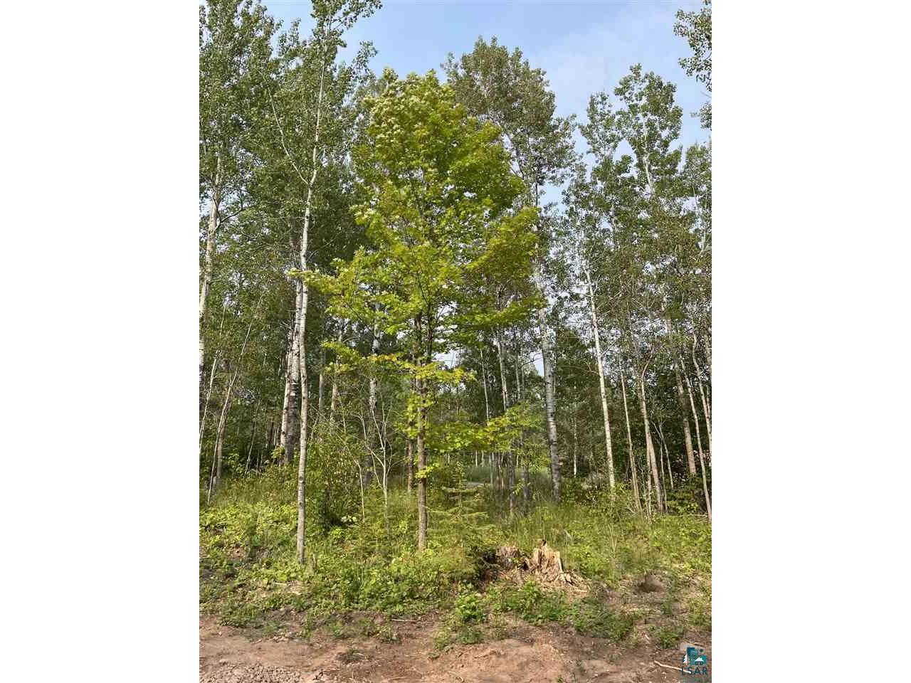 Lot 6 Snowshoe Tr, Tofte, MN 55615 MLS 6098882 Edina Realty