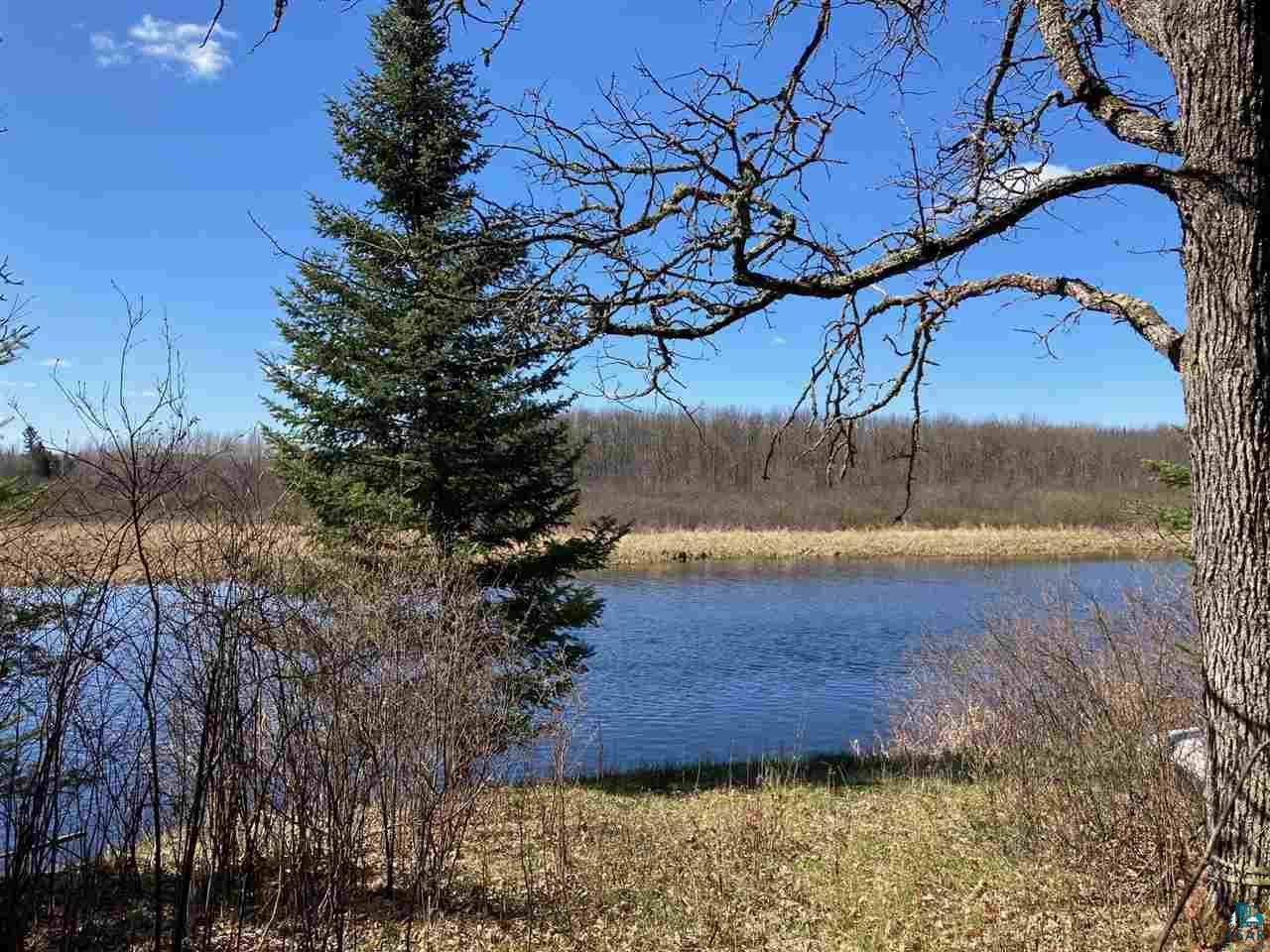 TBD Riise Rd, Buyck, MN 55771 MLS 6096694 Edina Realty