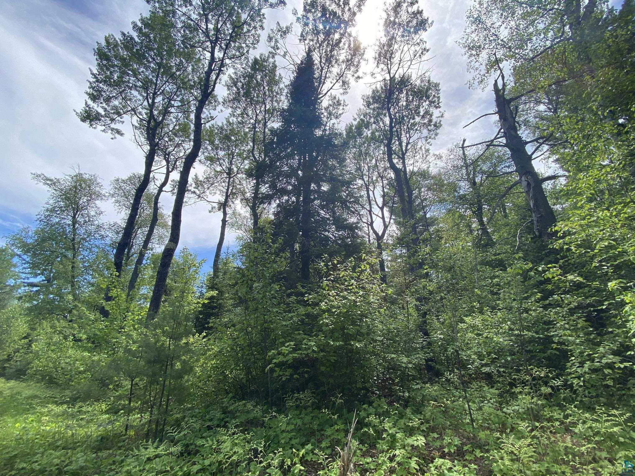 XX Pine Peak Rd, Lutsen, MN 55612 MLS 6101234 Edina Realty