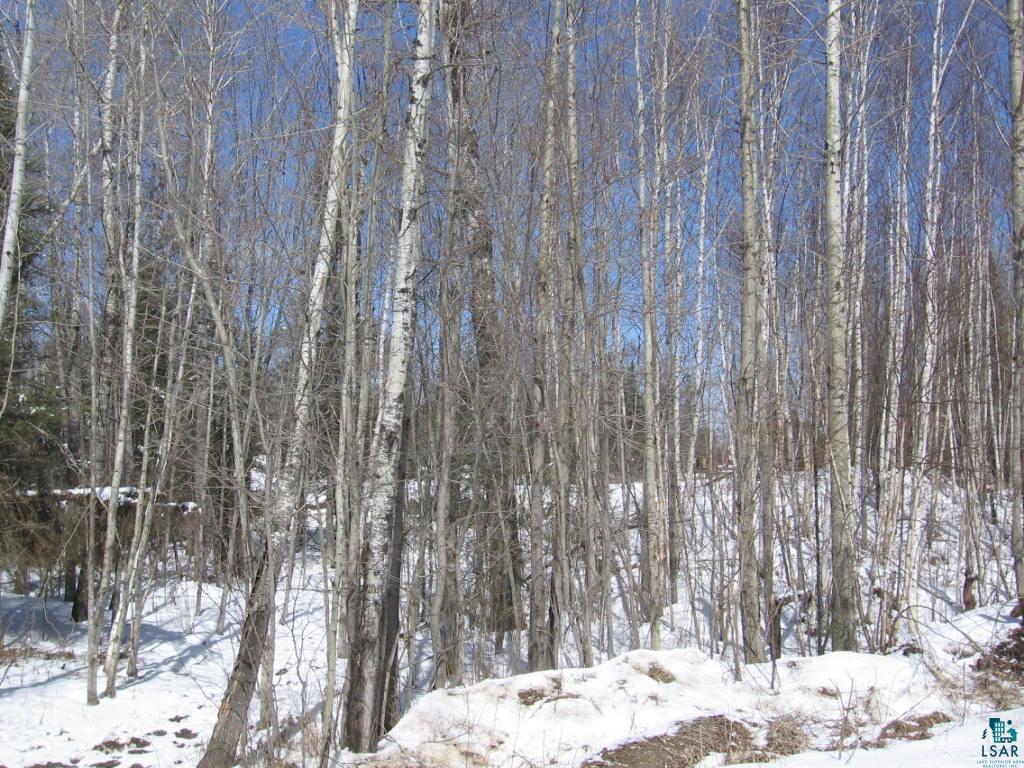 XXX Kawishiwi Tr, Ely, MN 55731 MLS 6103022 Edina Realty