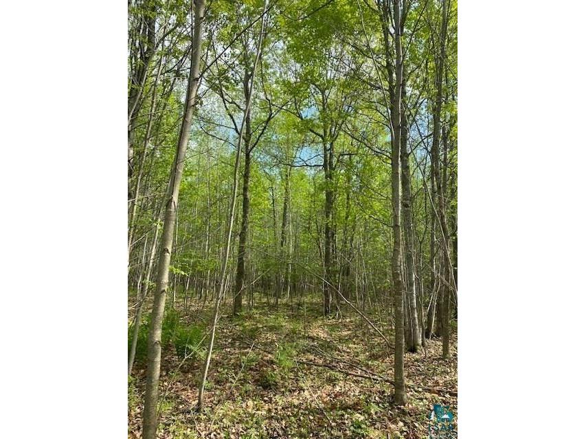 XXXX Beeksma Rd, Herbster, WI 54844 MLS 6096913 Edina Realty