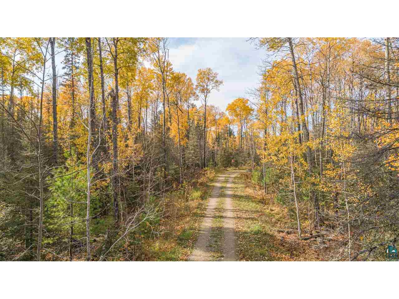 tbd LaBrec Klein Trail Ely MN 55731 6101677 image15