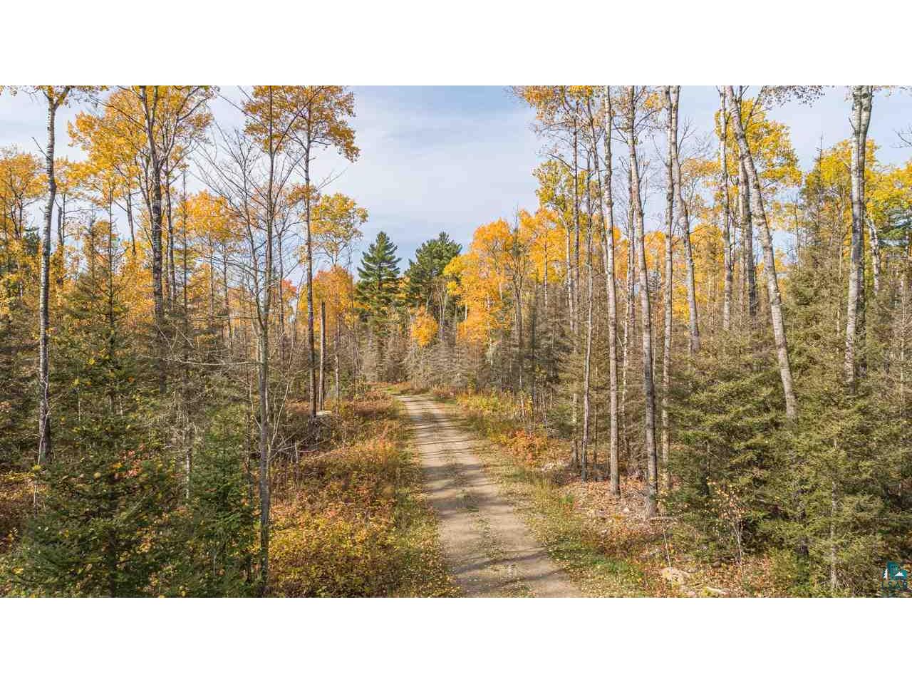 tbd LaBrec Klein Trail Ely MN 55731 6101677 image16