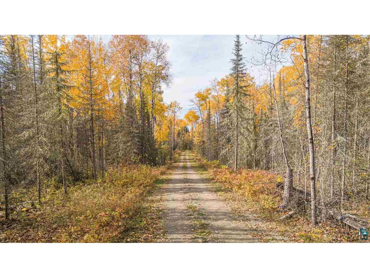 tbd LaBrec Klein Trail Ely MN 55731 6101680 image14