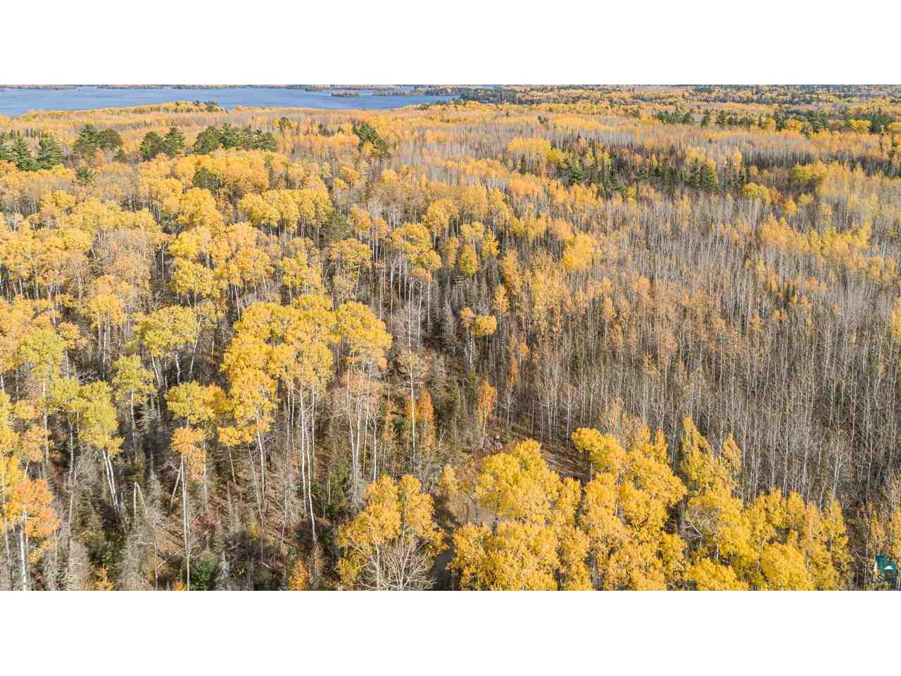 tbd Sunset Rd Ely MN 55731 6101675 image5