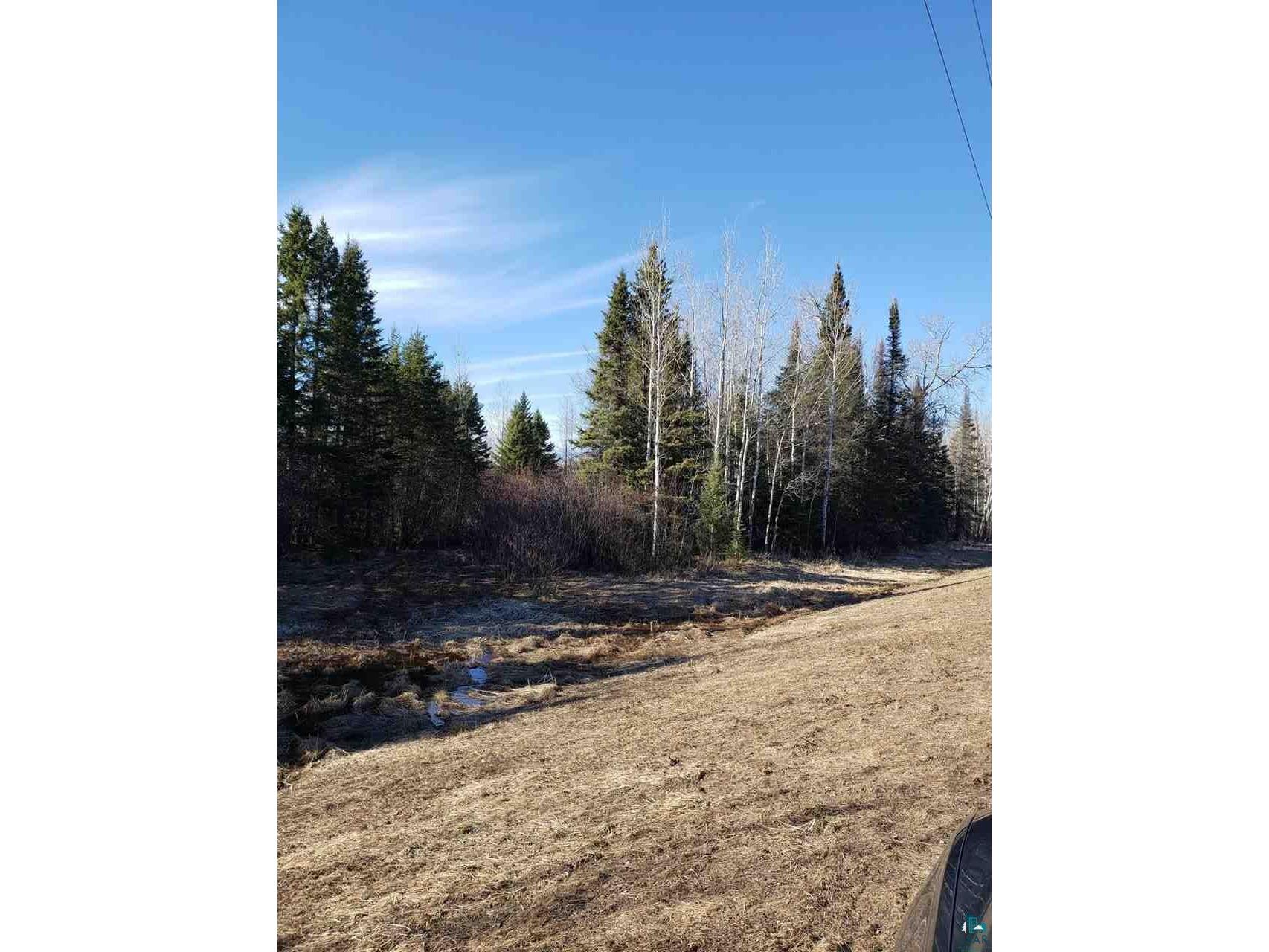 xx Hwy 11, Bassett, MN, 55602 MLS 6091930 Edina Realty