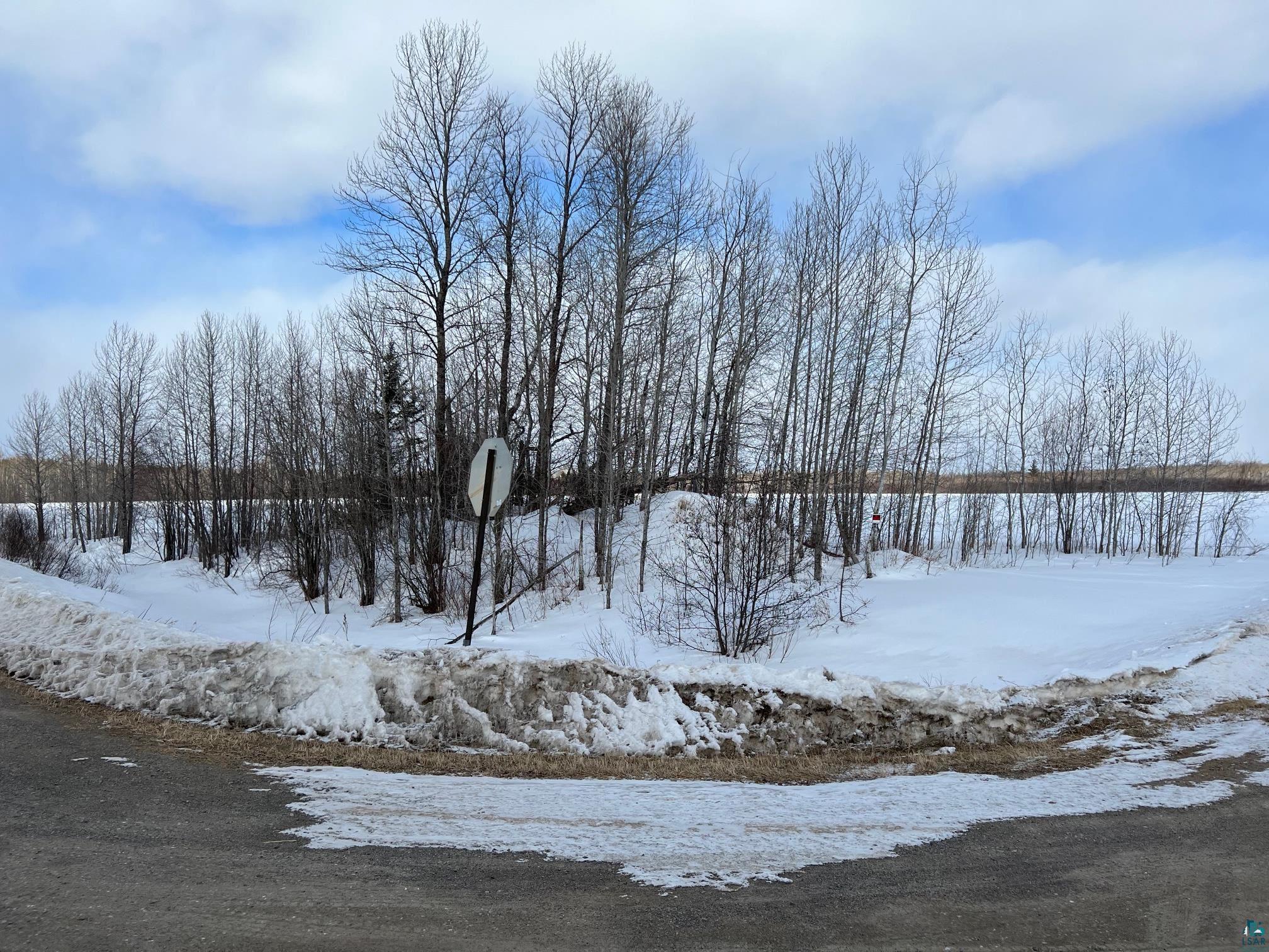 xxx Dass Rd, Kelsey, MN 55724 MLS 6101644 Edina Realty