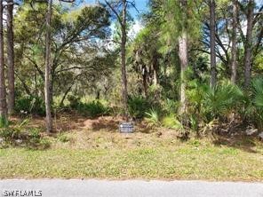 0 Wild Goose Drive North Port FL 34291 224029922 image1