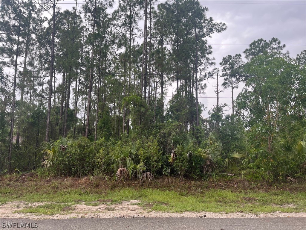 10th Avenue SE Naples FL 34117 224050939 image1