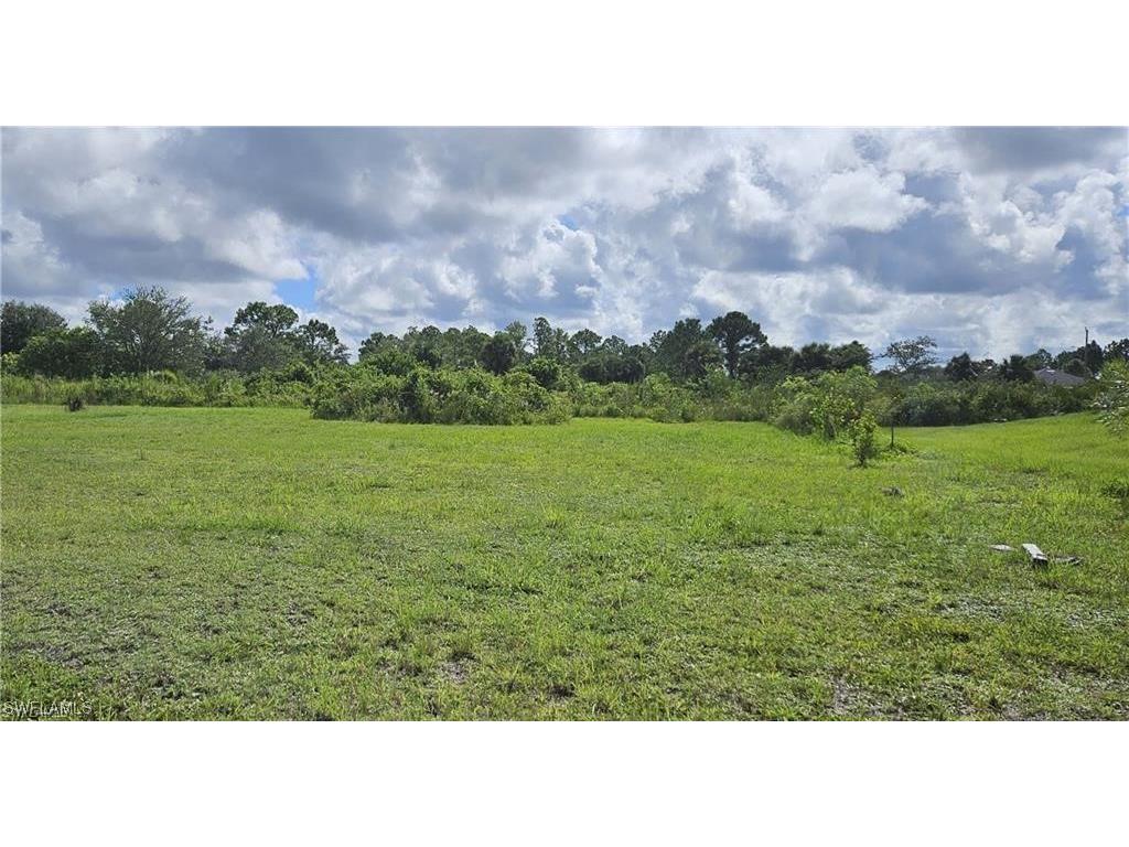 1102 Lee Avenue Lehigh Acres FL 33972 224011765 image1