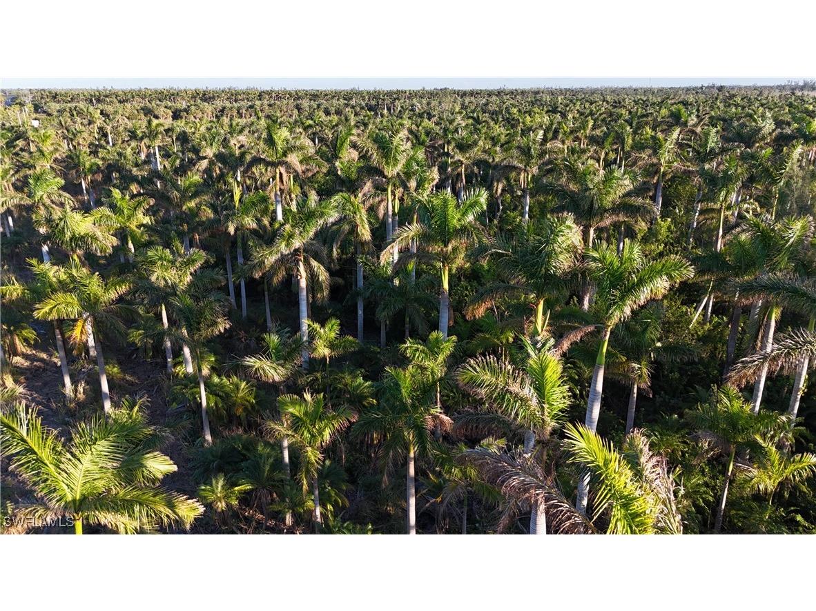 12990 Samadani Lane Bokeelia FL 33922 225053548 image10