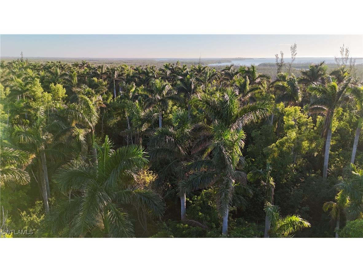 12990 Samadani Lane Bokeelia FL 33922 225053548 image11