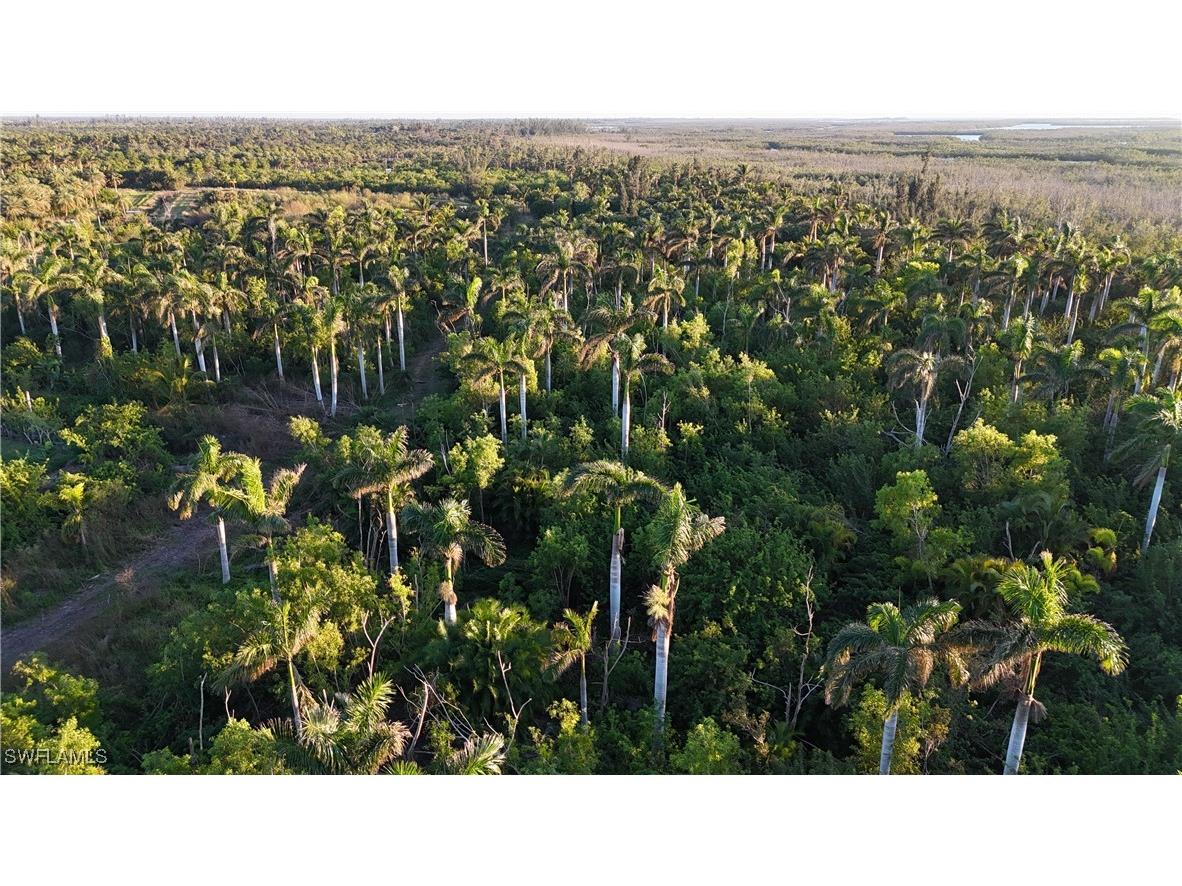 12990 Samadani Lane Bokeelia FL 33922 225053548 image12