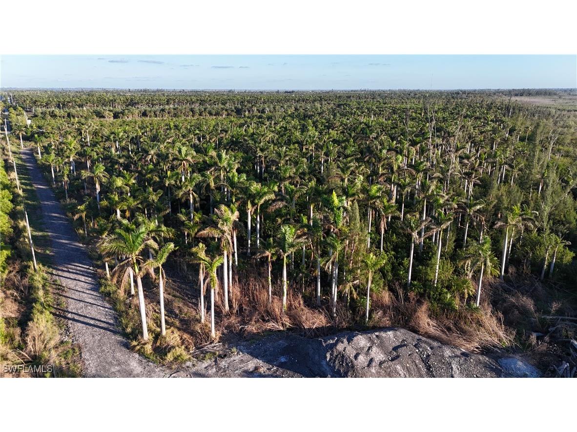 12990 Samadani Lane Bokeelia FL 33922 225053548 image13