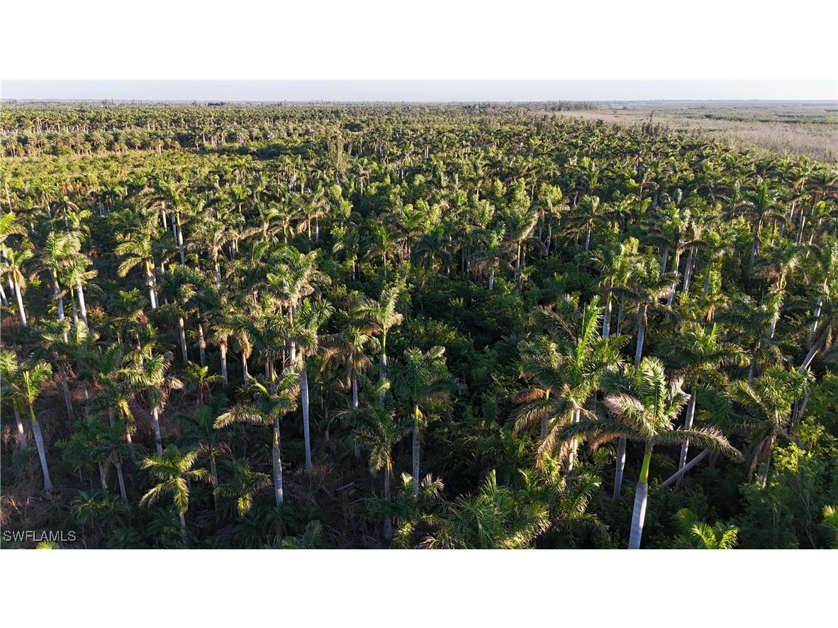 12990 Samadani Lane Bokeelia FL 33922 225053548 image14