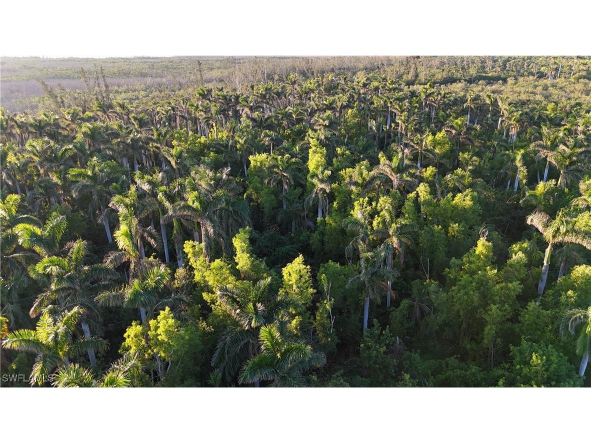 12990 Samadani Lane Bokeelia FL 33922 225053548 image15