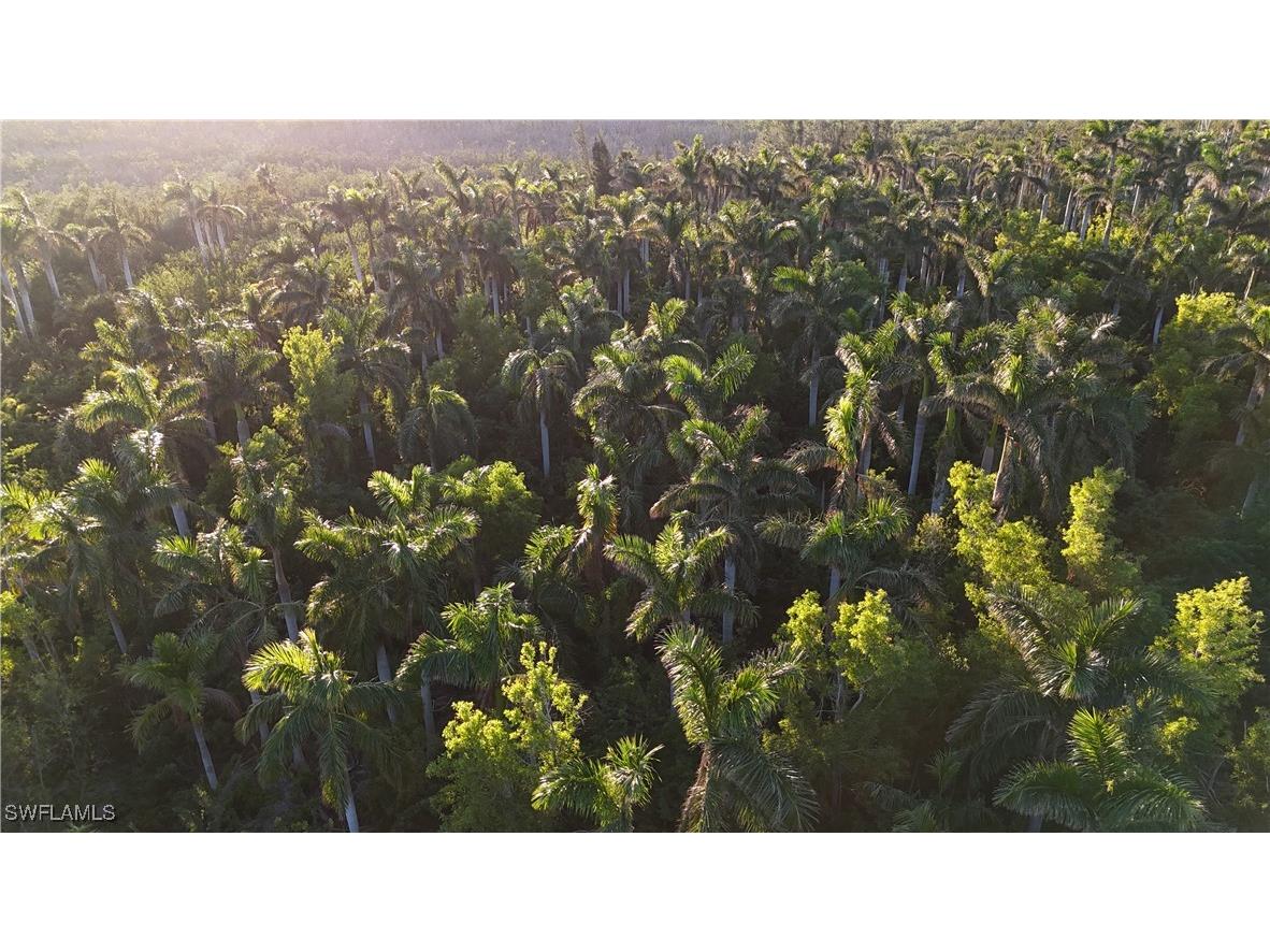 12990 Samadani Lane Bokeelia FL 33922 225053548 image16