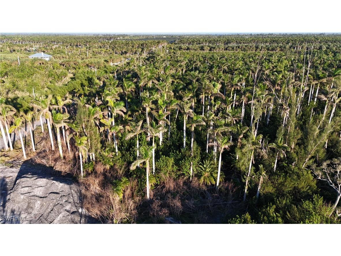 12990 Samadani Lane Bokeelia FL 33922 225053548 image3