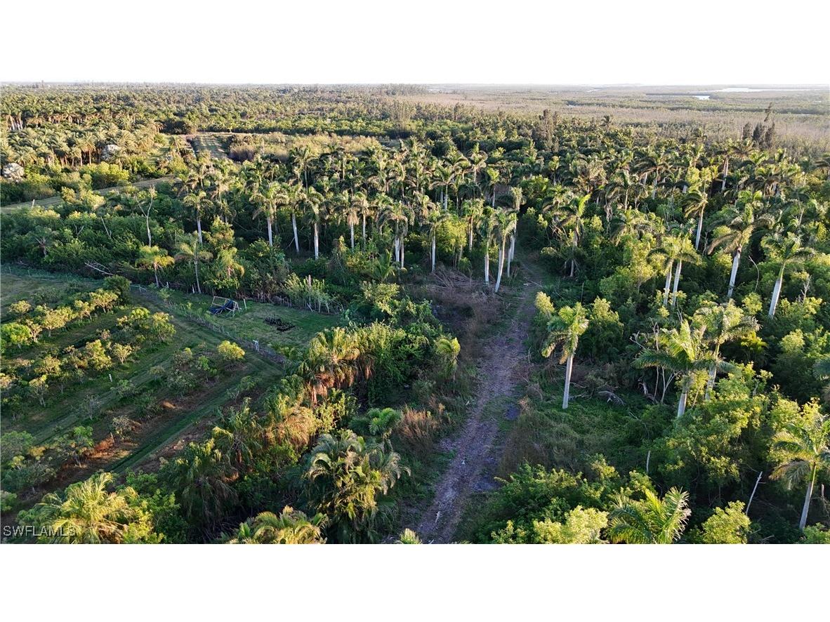 12990 Samadani Lane Bokeelia FL 33922 225053548 image4