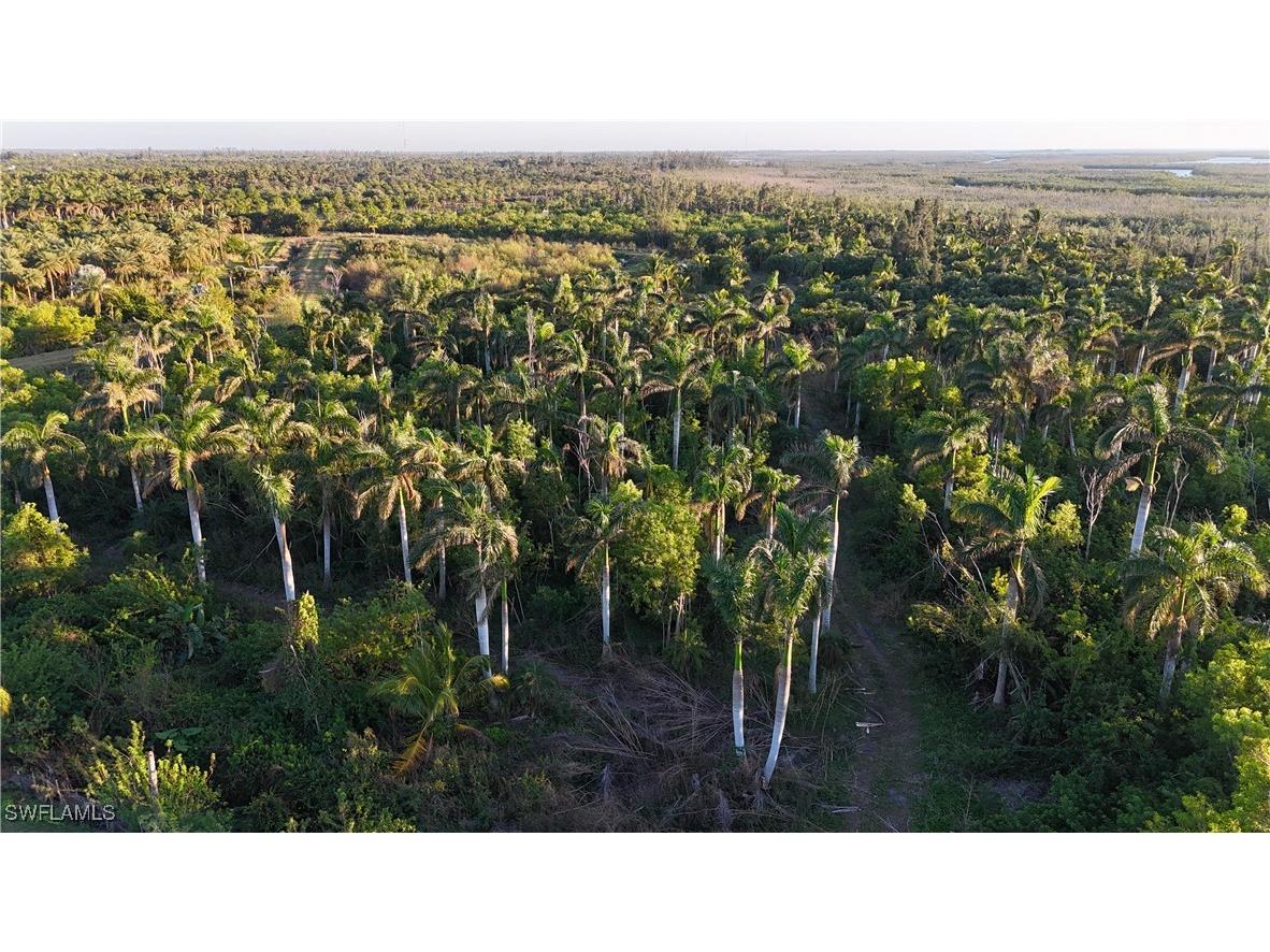 12990 Samadani Lane Bokeelia FL 33922 225053548 image5