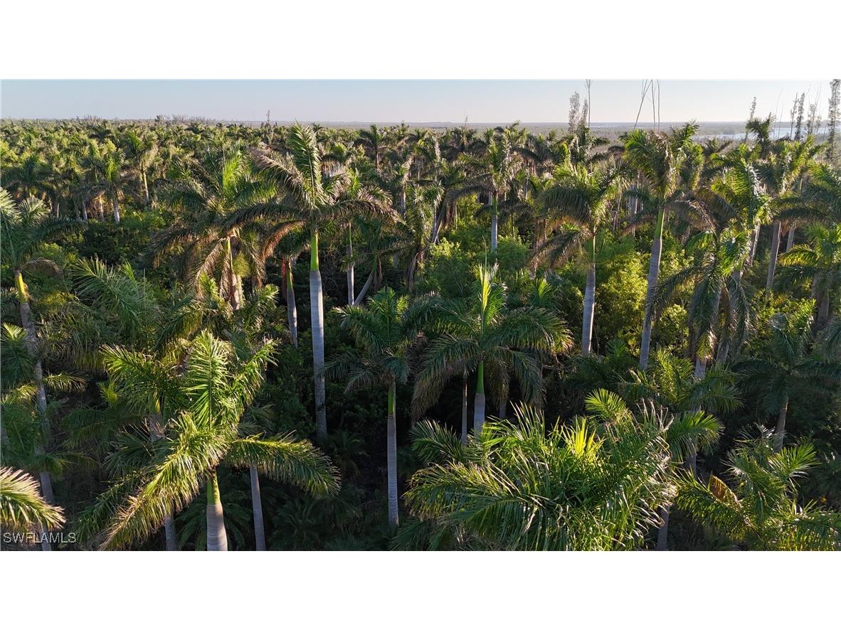 12990 Samadani Lane Bokeelia FL 33922 225053548 image6