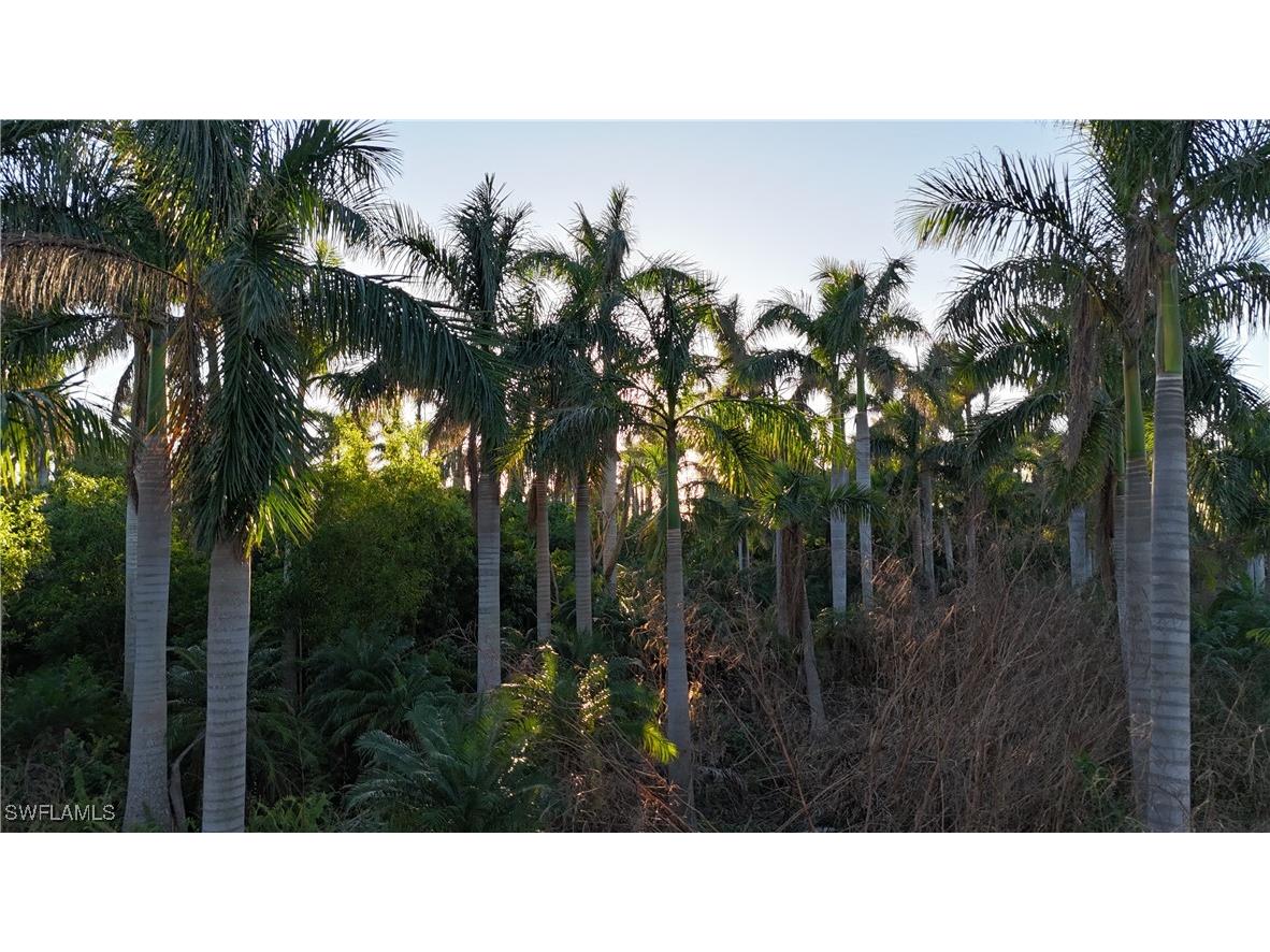 12990 Samadani Lane Bokeelia FL 33922 225053548 image7