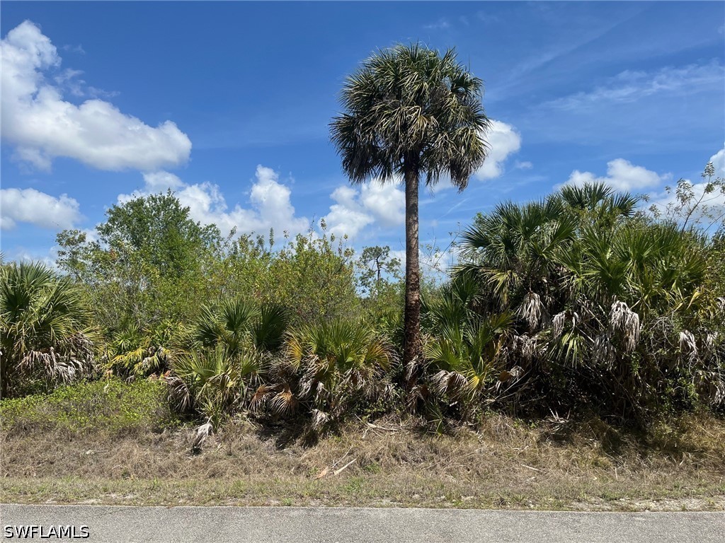 12th Avenue NE Naples FL 34120 226014003 image1