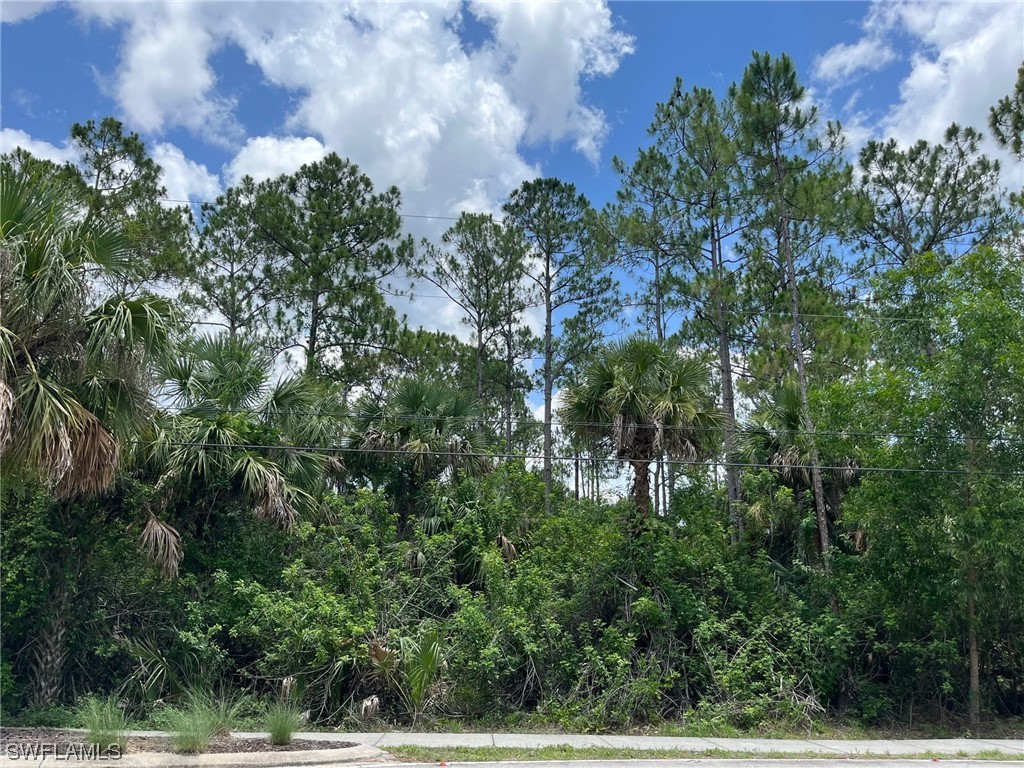 13th Street SW Naples FL 34117 223047147 image1