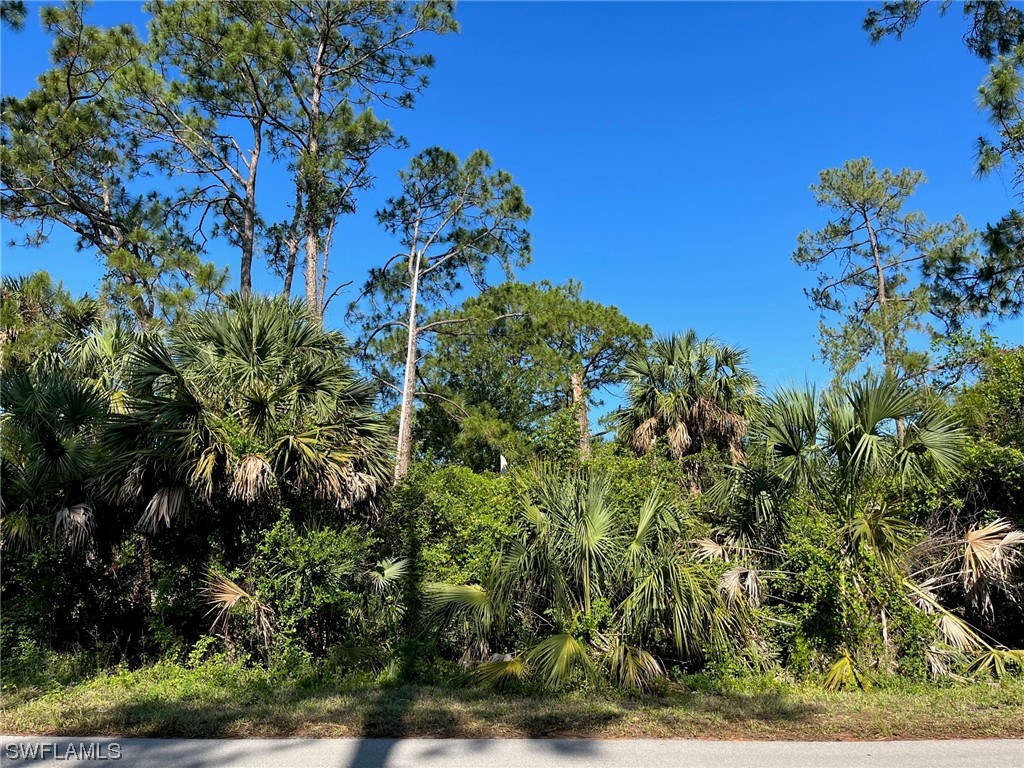 15th Street SW Naples FL 34117 223039504 image1