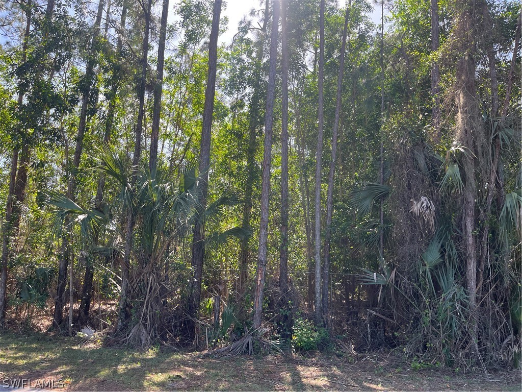 16 Avenue NE Naples FL 34120 223011048 image1