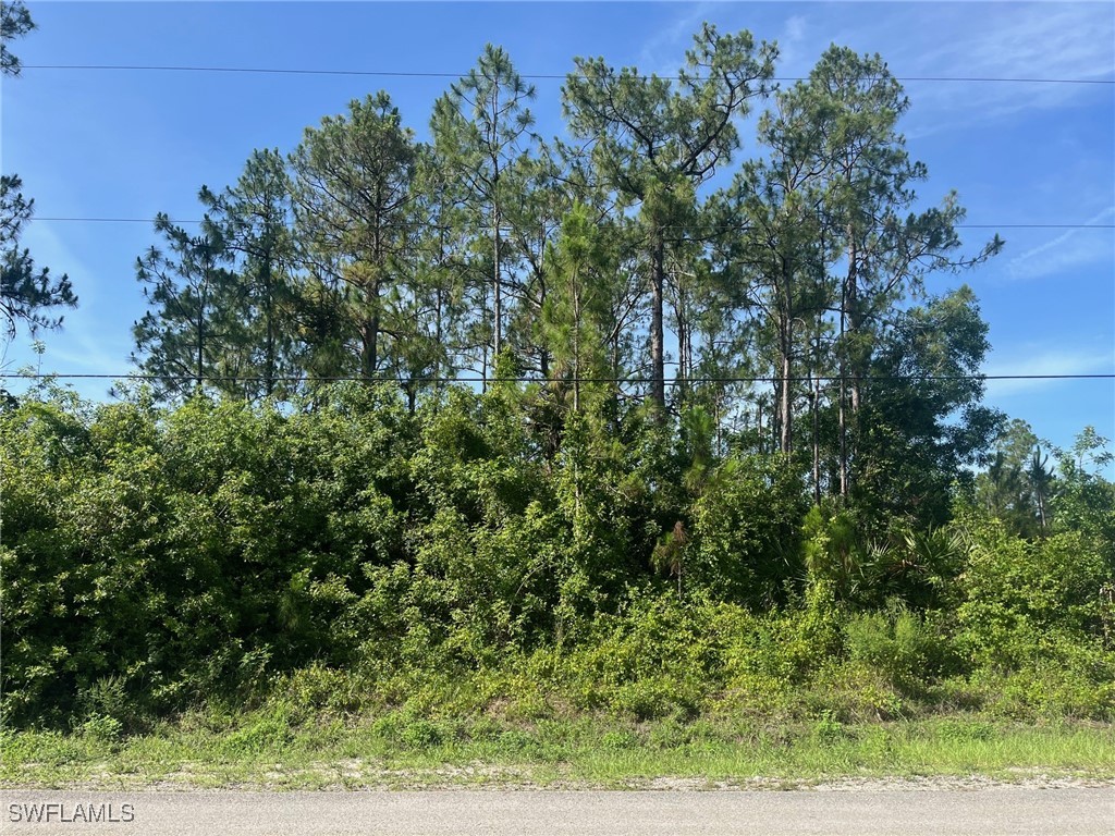 16th Avenue NE Naples FL 34120 225057194 image1