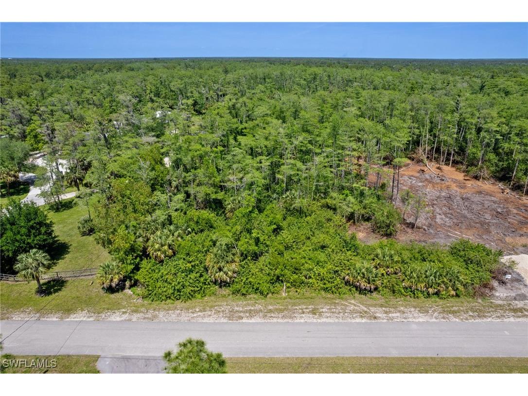 16th Avenue NE Naples FL 34120 225065737 image8