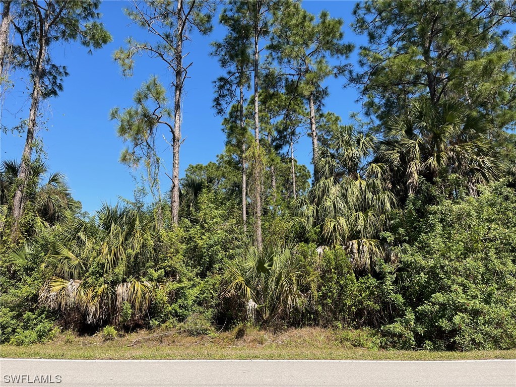 18th Avenue NE Naples FL 34120 224021388 image1