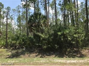 18th Avenue NE Naples FL 34120 225025455 image1