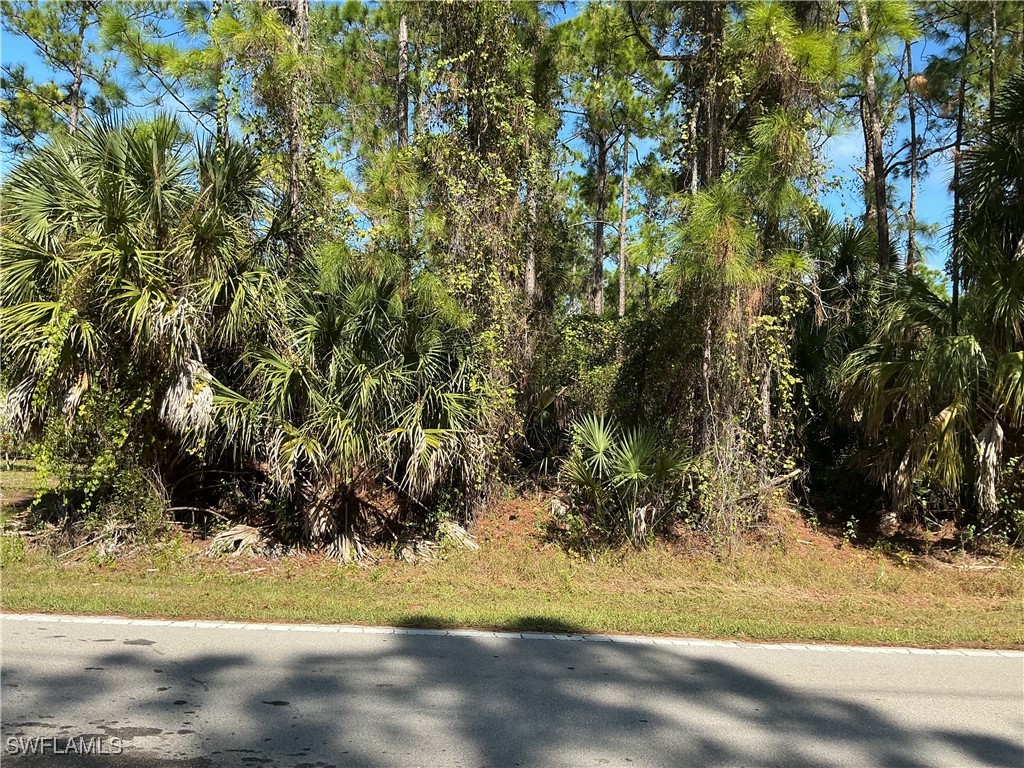 18th Avenue NE Naples FL 34120 225076905 image2