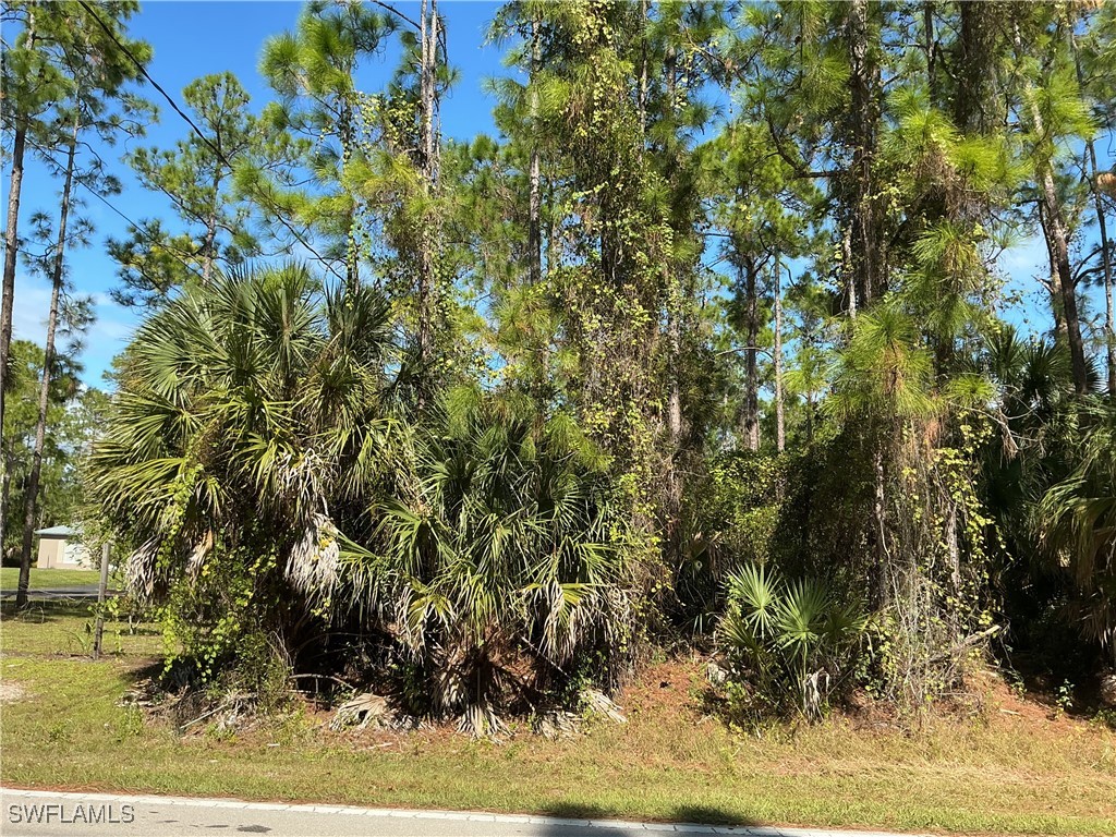 18th Avenue NE Naples FL 34120 225076905 image3