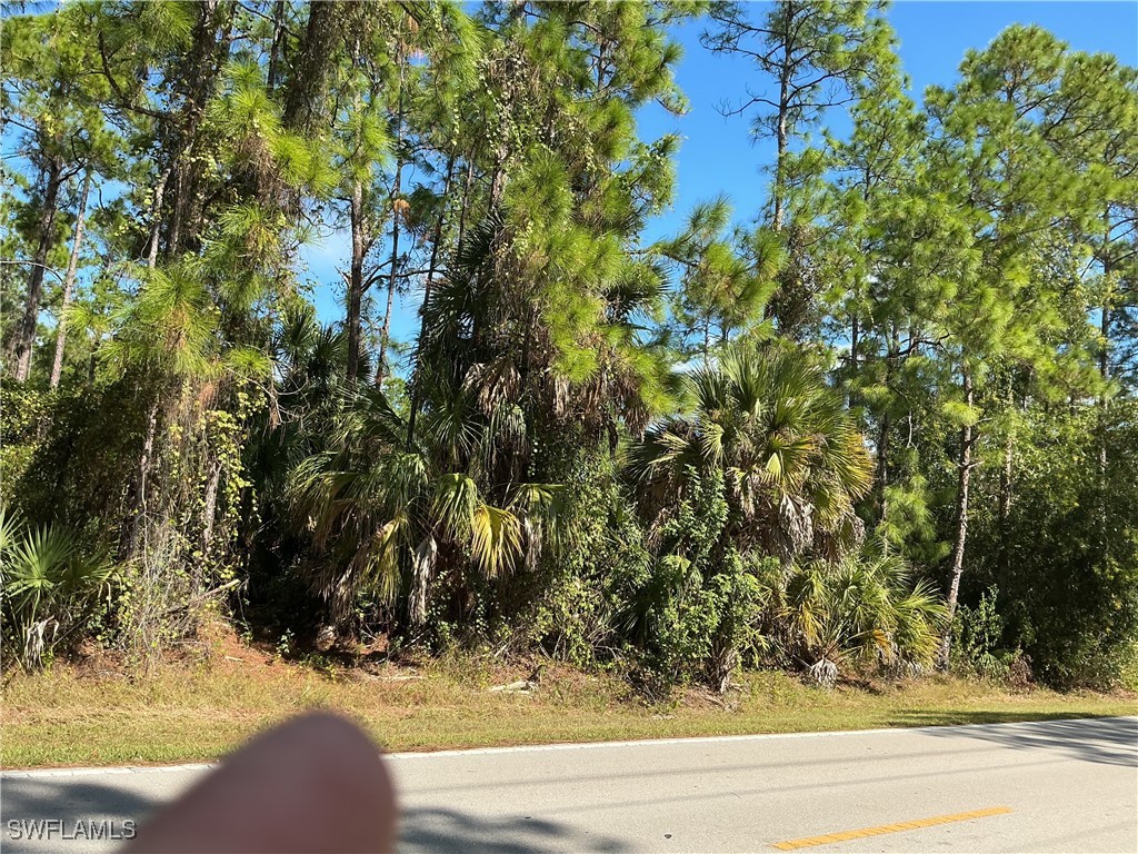 18th Avenue NE Naples FL 34120 225076905 image6