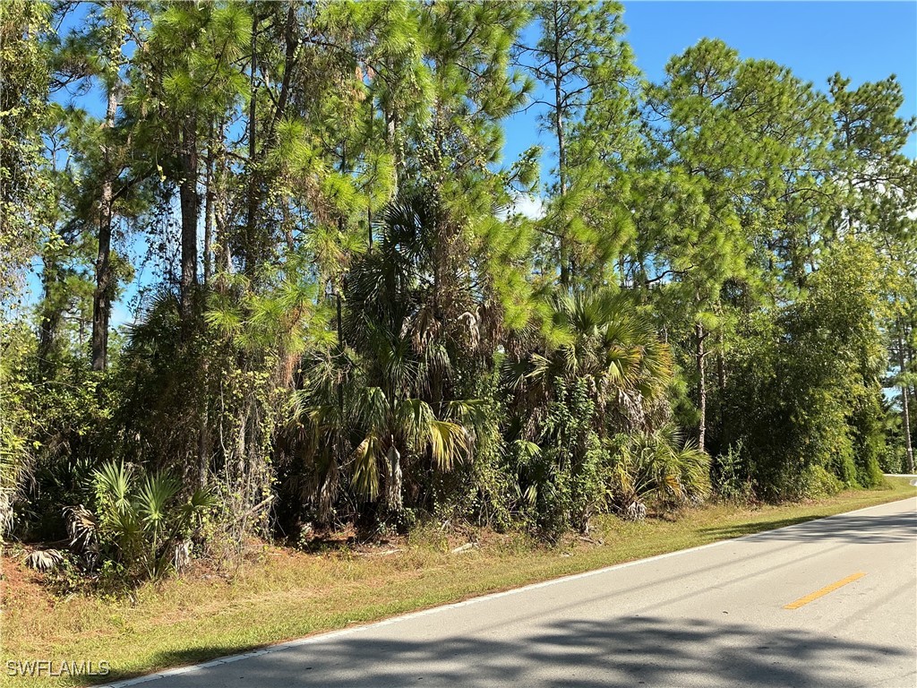 18th Avenue NE Naples FL 34120 225076905 image7