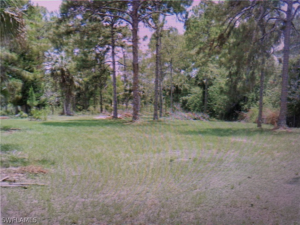 20th Avenue NE Naples FL 34120 223004756 image1