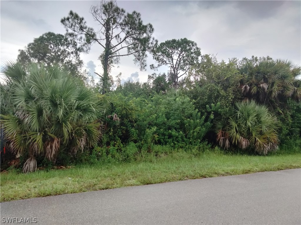 22nd Street NE Naples FL 34120 222061005 image1